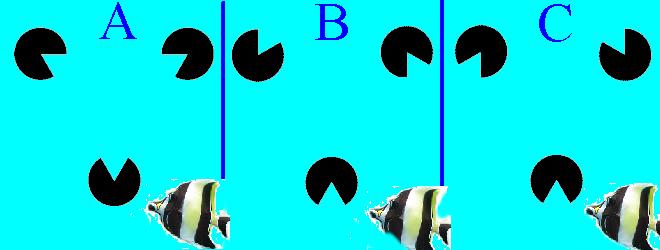 [�����̎ʐ^]